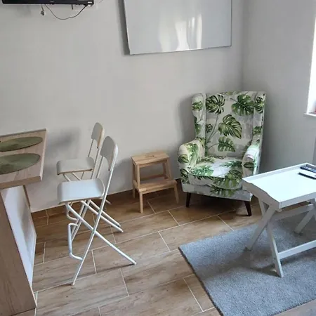 Apartment In Center Of 