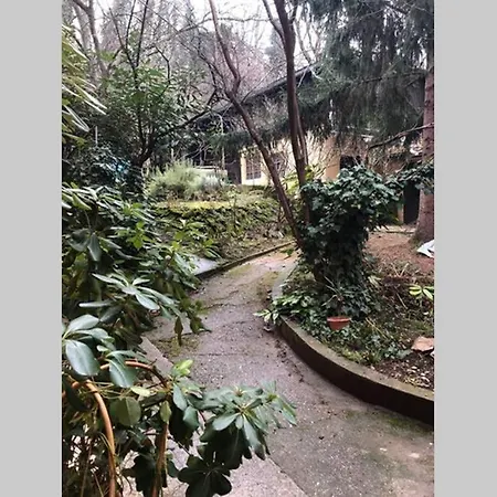 Apartment In Center Of 